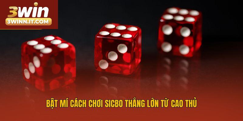 Bật mí cách chơi sicbo thắng lớn từ cao thủ