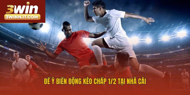 Để ý biến động kèo chấp 1/2 tại nhà cái